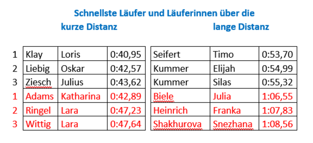 12_Treppenlauf_23c