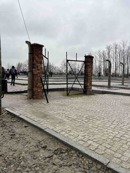 Auschwitz_14
