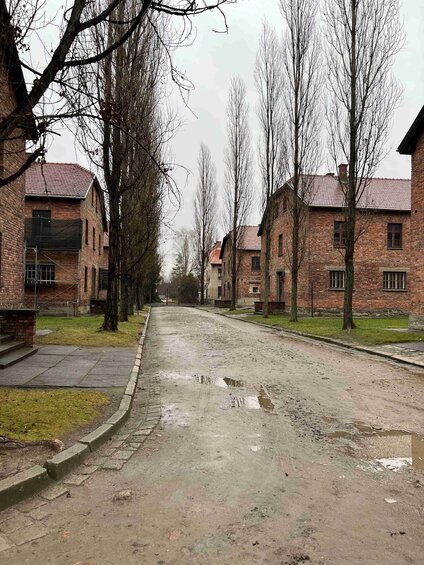 Auschwitz_20