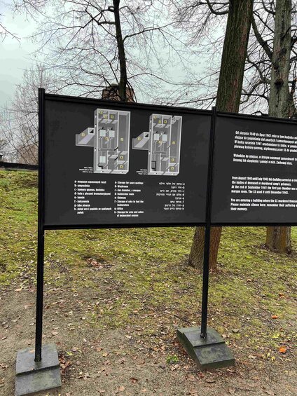 Auschwitz_6